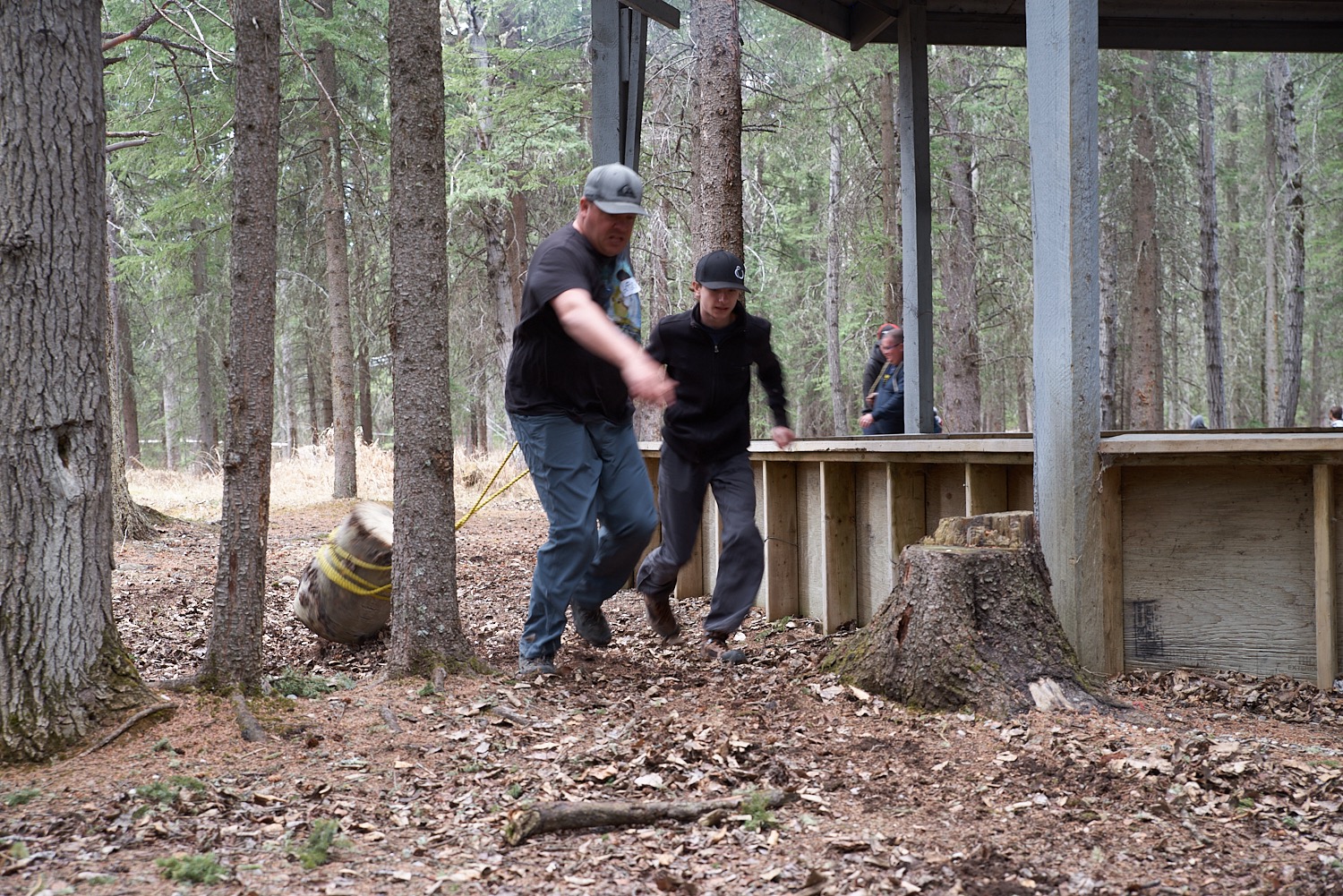 Manoeuvre By The Trees